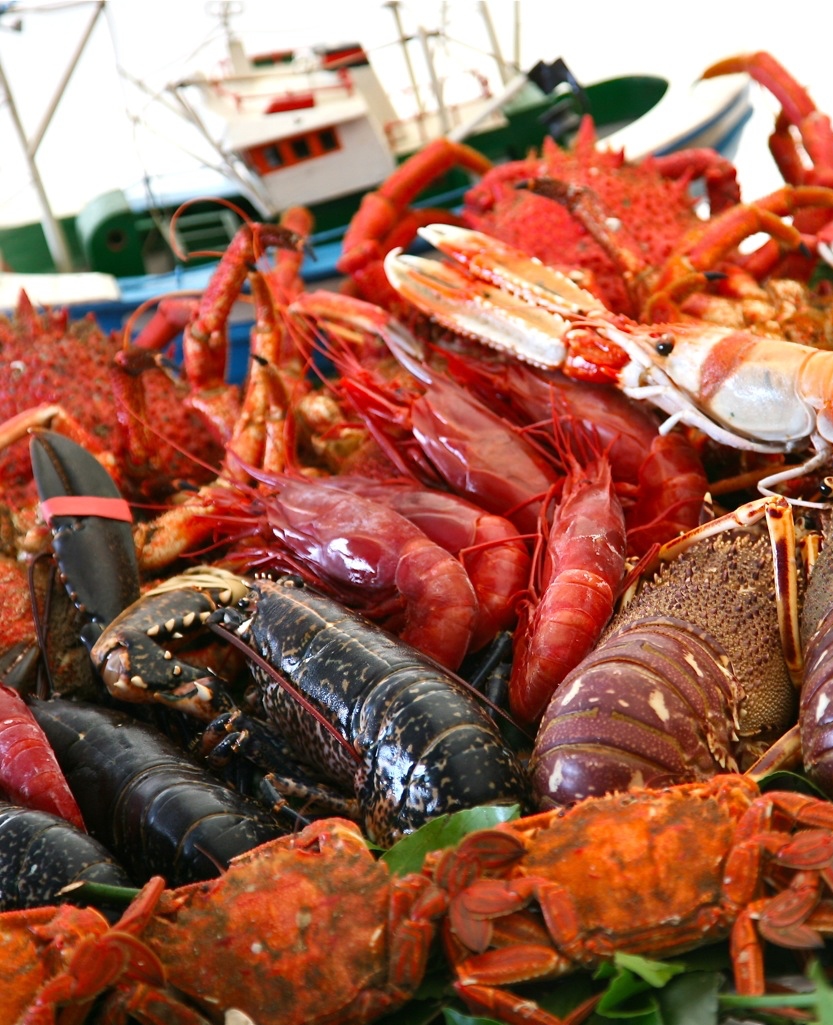 mariscos-big-4 Restaurante La Trainera -